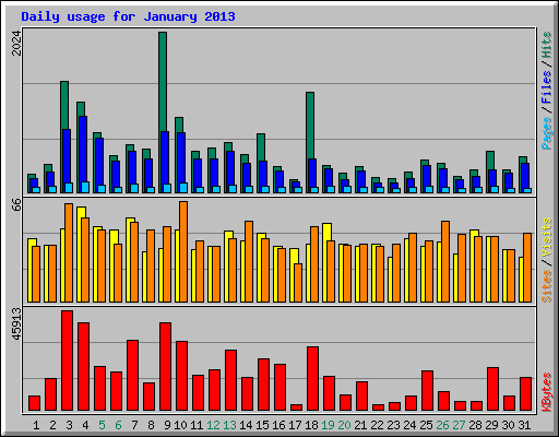 Daily usage for January 2013