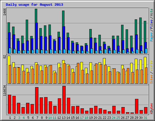Daily usage for August 2013