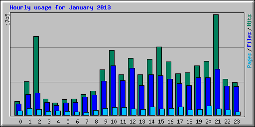 Hourly usage for January 2013