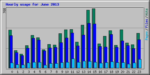 Hourly usage for June 2013